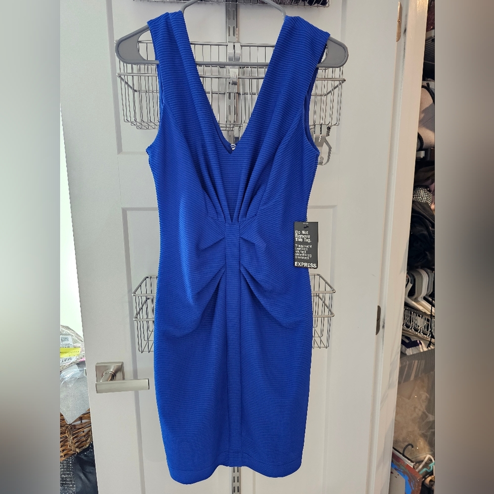 Express bodycon dress